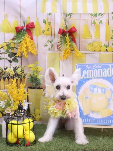 20240413小梅ちゃん